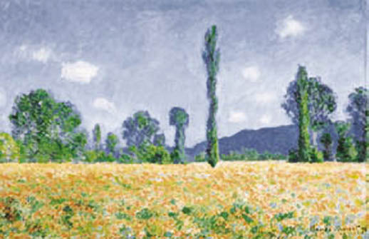 Poppy Field