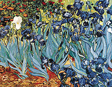 Irises