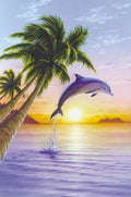 Dolphin Sunrise