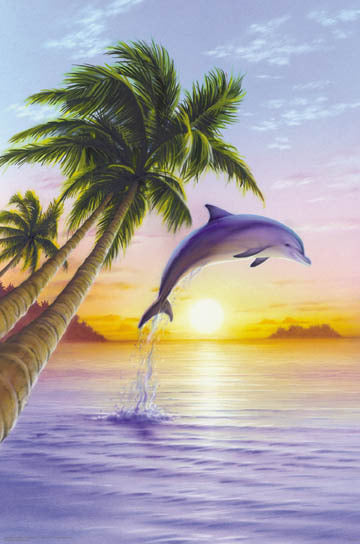 Dolphin Sunrise