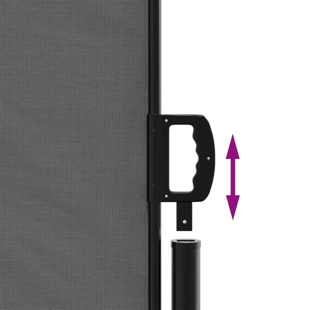 Retractable Side Awning Anthracite 70.9"x393.7