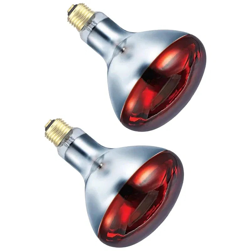 Color: light green, Ships From: United States - BONGBADA Quartz glass waterproof and explosion-proof E26 E27 Red R40 Infrared Heat Lamp Farm lamp 100W 150W 200W 250W 275W