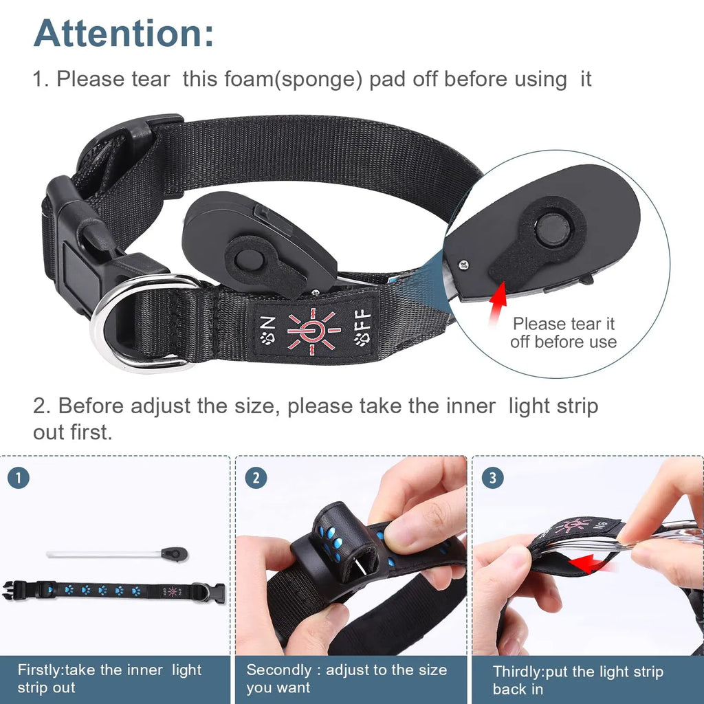 Color: WHITE, Size: XS - 7 Modes Led Dog Collar Bone Colourful Light Luminous Dog Collar USB Chargeable Swimming Bright Night Pet Accessories