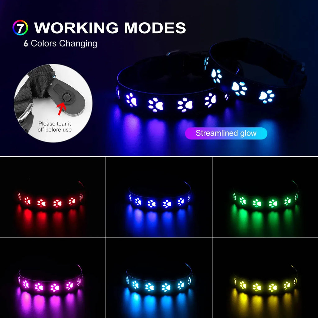 Color: WHITE, Size: XS - 7 Modes Led Dog Collar Bone Colourful Light Luminous Dog Collar USB Chargeable Swimming Bright Night Pet Accessories