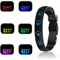 Color: WHITE, Size: XS - 7 Modes Led Dog Collar Bone Colourful Light Luminous Dog Collar USB Chargeable Swimming Bright Night Pet Accessories