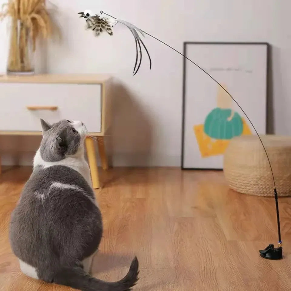 Color: Black, Ships From: CHINA - Simulation Bird Interactive Funny Cat Stick Toy Furry Feather Bird With Bell Sucker Cat Stick Toy Kitten Playing Pet Accessories