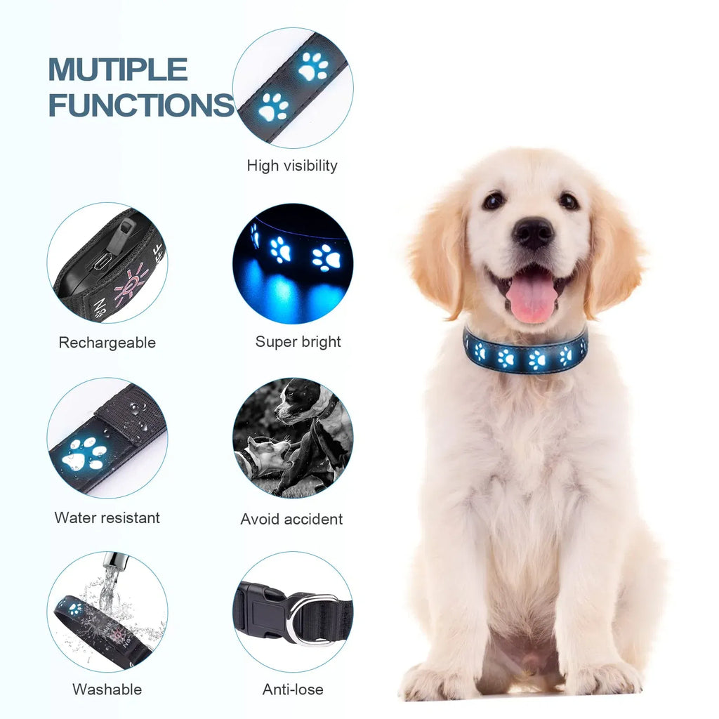 Color: WHITE, Size: XS - 7 Modes Led Dog Collar Bone Colourful Light Luminous Dog Collar USB Chargeable Swimming Bright Night Pet Accessories