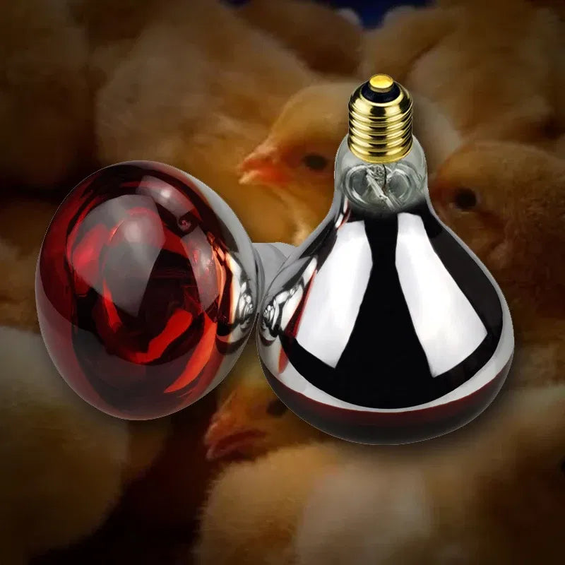 Color: Scarlet, Ships From: United States - BONGBADA Quartz glass waterproof and explosion-proof E26 E27 Red R40 Infrared Heat Lamp Farm lamp 100W 150W 200W 250W 275W