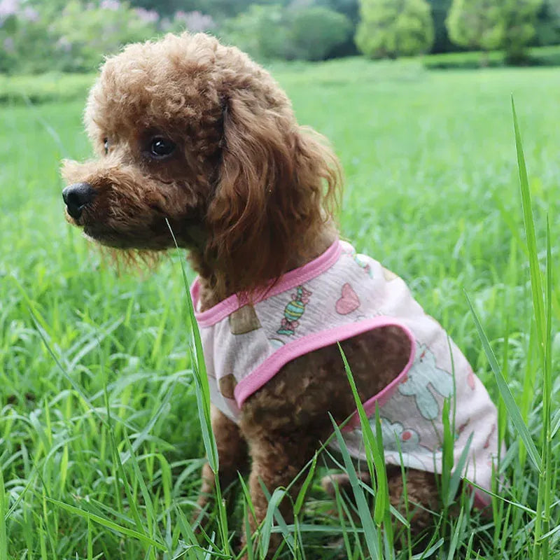 Color: Pink, Size: XS - Summer Dog Vest Ultra Thin Breathable Mesh Cloth Pet T-shirt for Small Dogs Cute Cartoon Print Puppy Cat Cheap Clothes Costumes